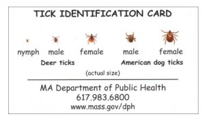 tick-id-card